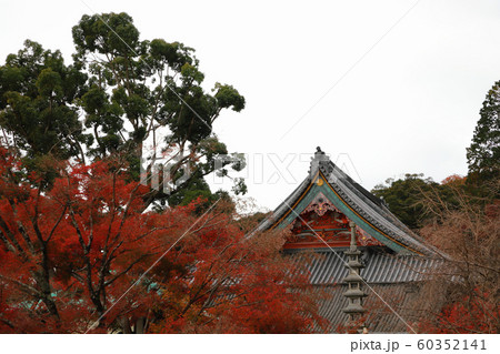 勝尾寺 60352141