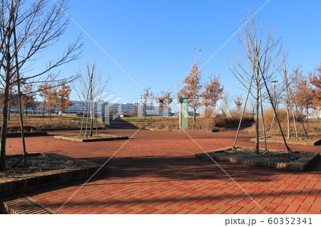 つくば市学園の森からの筑波山 つくば市学園の森からの筑波山 60352341