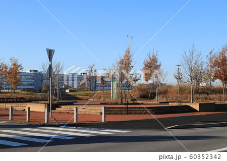 つくば市学園の森からの筑波山 つくば市学園の森からの筑波山 60352342