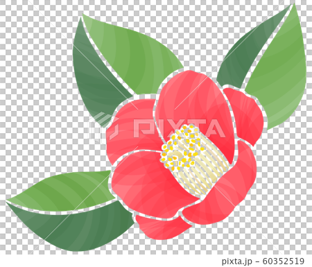 Red bud in full bloom 60352519