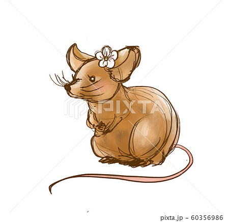雌ねずみのイラスト素材