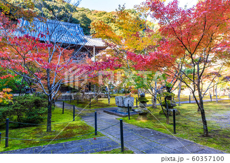 廣福寺の紅葉 【佐賀県武雄市】 廣福寺の紅葉 【佐賀県武雄市】 60357100