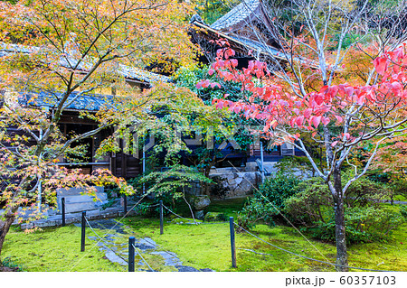 廣福寺の紅葉 【佐賀県武雄市】 廣福寺の紅葉 【佐賀県武雄市】 60357103