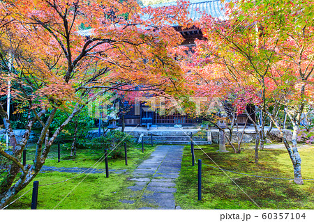 廣福寺の紅葉　【佐賀県武雄市】 60357104