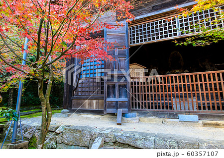 廣福寺の紅葉 【佐賀県武雄市】 廣福寺の紅葉 【佐賀県武雄市】 60357107