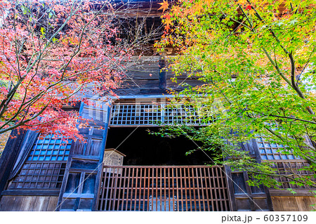 廣福寺の紅葉 【佐賀県武雄市】 廣福寺の紅葉 【佐賀県武雄市】 60357109