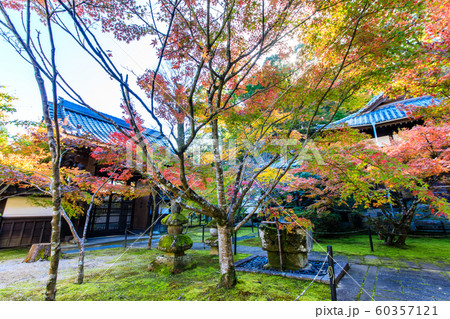 廣福寺の紅葉 【佐賀県武雄市】 廣福寺の紅葉 【佐賀県武雄市】 60357121