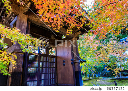 廣福寺の紅葉 【佐賀県武雄市】 廣福寺の紅葉 【佐賀県武雄市】 60357122