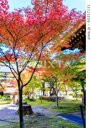 廣福寺の紅葉　【佐賀県武雄市】 60357131
