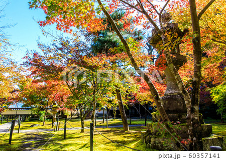 廣福寺の紅葉 【佐賀県武雄市】 廣福寺の紅葉 【佐賀県武雄市】 60357141