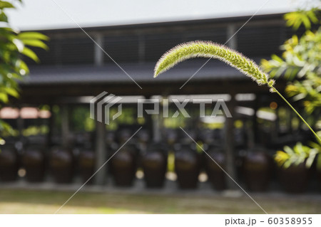 Traditional Korean style architecture, Hanok Village landscape 275 Traditional Korean style architecture, Hanok Village landscape 275 60358955