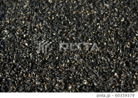 ゴマ 穀物 穀類 60359379