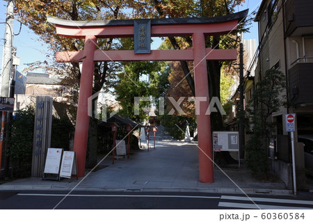 東京神楽坂、秋の赤城神社(大鳥居) 東京神楽坂、秋の赤城神社(大鳥居) 60360584