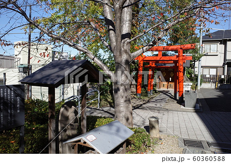東京神楽坂、秋の赤城神社 60360588