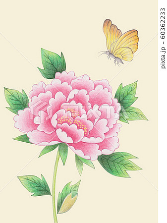 花 牡丹 蝶のイラスト素材