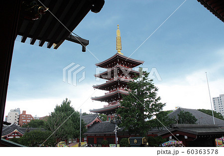 浅草浅草寺三社祭 60363578