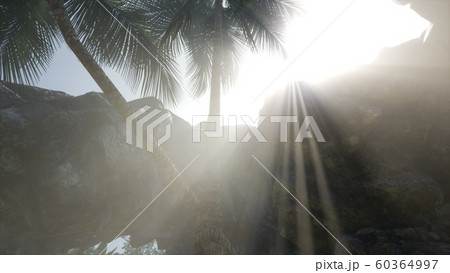 Big Palms in Stone Cave with Rays of Sunlight 60364997