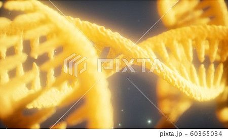double helical structure of dna strand close-up double helical structure of dna strand close-up 60365034