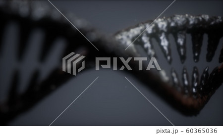 DNA molecule on the grey background DNA molecule on the grey background 60365036