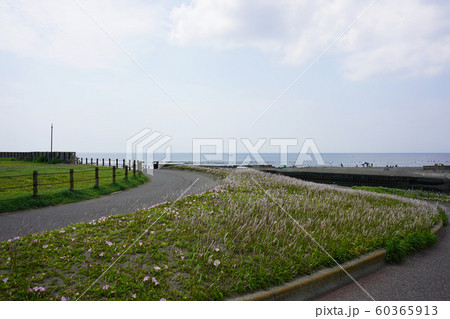 湘南の海  60365913