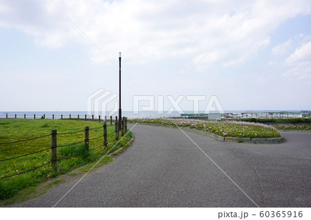 湘南の海  60365916
