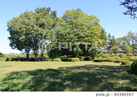 渋民公園 渋民公園 60366367
