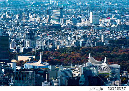 秋の東京 紅葉と街並みの俯瞰 2019.11 代々木周辺 秋の東京 紅葉と街並みの俯瞰 2019.11 代々木周辺 60366377
