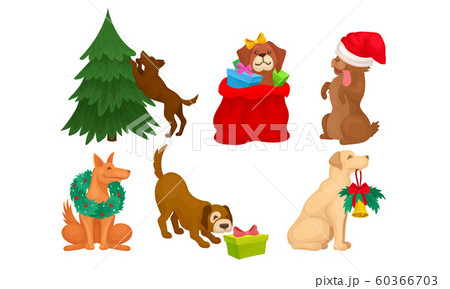 Dogs of Different Breeds Collection, Cute Pet Animals with Christmas Holiday Accessories Vector Illustration 60366703