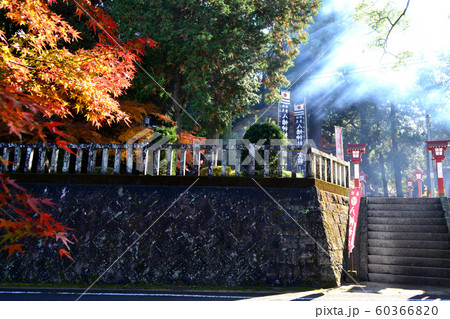 佐賀県 多久市 紅葉の散策コースの景観 佐賀県 多久市 紅葉の散策コースの景観 60366820