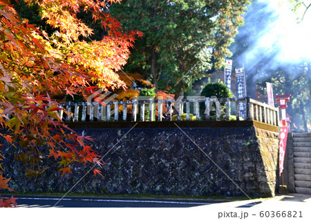 佐賀県 多久市 紅葉の散策コースの景観 佐賀県 多久市 紅葉の散策コースの景観 60366821