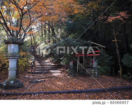 高尾山 稲荷山コース 高尾山 稲荷山コース 60366957