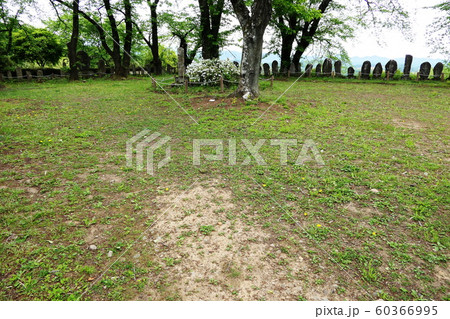 後閑城址公園 60366995