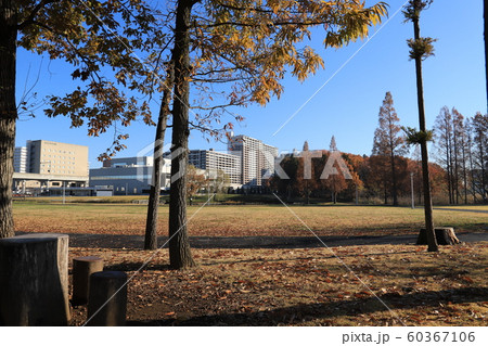研究学園駅前公園 、 茨城県つくば市風景 研究学園駅前公園 、 茨城県つくば市風景 60367106