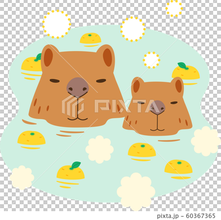 ゆず湯に浸かる親子のカピバラ 60367365