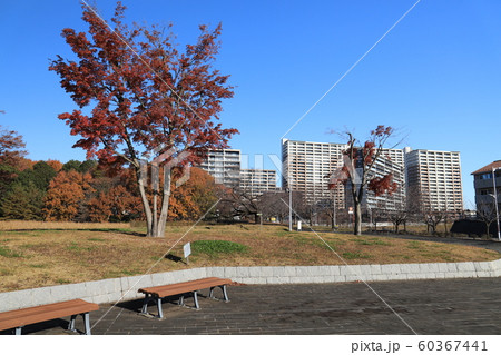 研究学園駅前公園から望むマンション 60367441