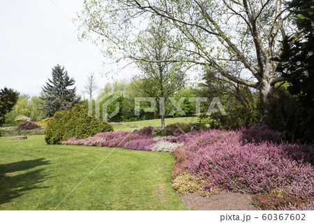 英国の市立公園 60367602