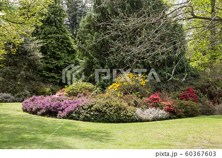 英国の市立公園 60367603