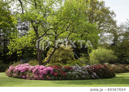 英国の市立公園 60367604