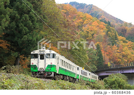 只見線「キハ40型列車と紅葉した山々を背景に」 60368436