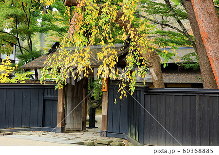 秋の角館 秋の角館 60368885