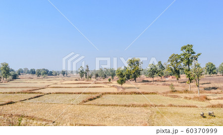Crop burning in Madhya Pradesh on a scorching hot April afternoon.  60370999