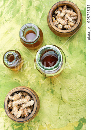 Bottles of tincture of pine buds Bottles of tincture of pine buds 60372355