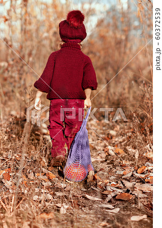 four year old girl in red knitted sweater, trousers and beret walks with her back to the yellow autumn leaves in the park, in her hand is natural bag made of cotton with pumpkin four year old girl in red knitted sweater, trousers and beret walks with her back to the yellow autumn leaves in the park, in her hand is natural bag made of cotton with pumpkin 60372539