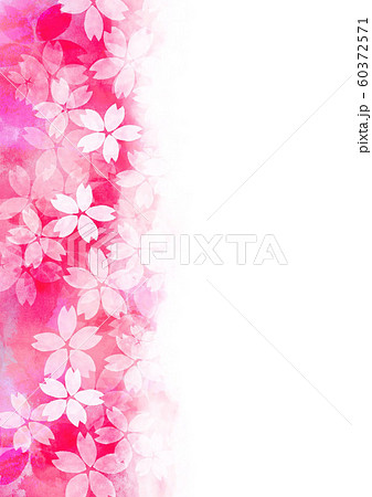 桜　春　水彩イラスト 60372571