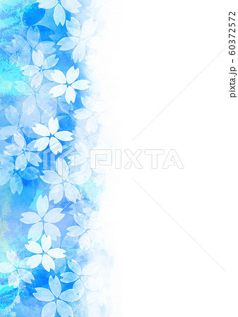 桜　春　水彩イラスト 60372572