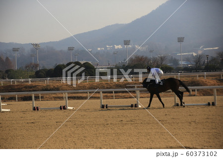 競馬公園 言葉 レース 60373102