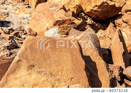 Rock art of the San People 60373216