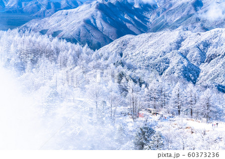 《山梨県》霧氷の森・三つ峠 60373236