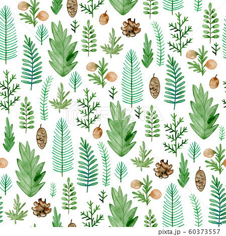 Seamless pattern with evergreen plants. 60373557