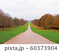 Beautiful road in the center of picture, Landscape of Autumn season. 60373904